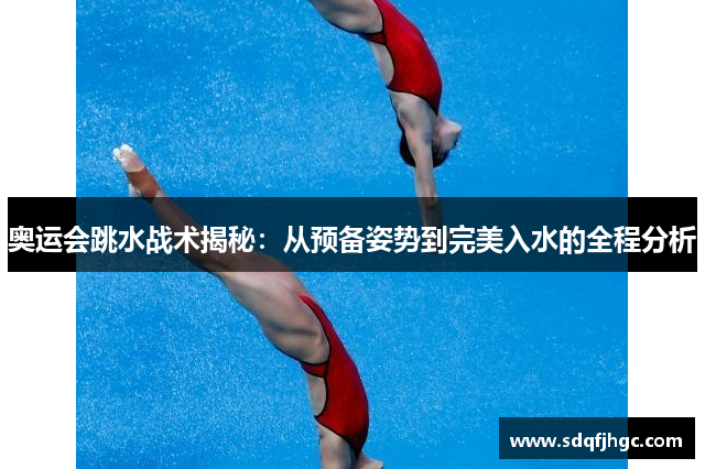 奥运会跳水战术揭秘：从预备姿势到完美入水的全程分析
