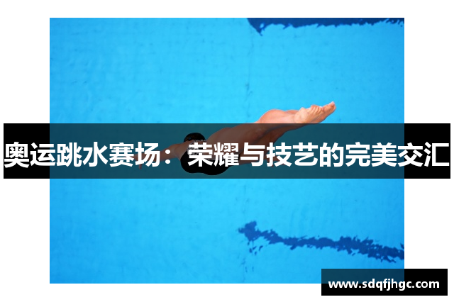 奥运跳水赛场：荣耀与技艺的完美交汇