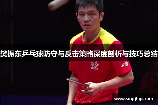 樊振东乒乓球防守与反击策略深度剖析与技巧总结