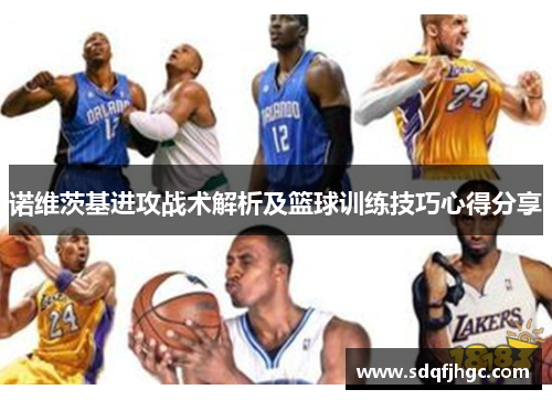 诺维茨基进攻战术解析及篮球训练技巧心得分享