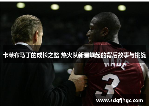 卡莱布马丁的成长之路 热火队新星崛起的背后故事与挑战