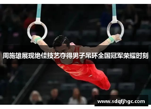 周施雄展现绝佳技艺夺得男子吊环全国冠军荣耀时刻