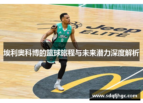 埃利奥科博的篮球旅程与未来潜力深度解析