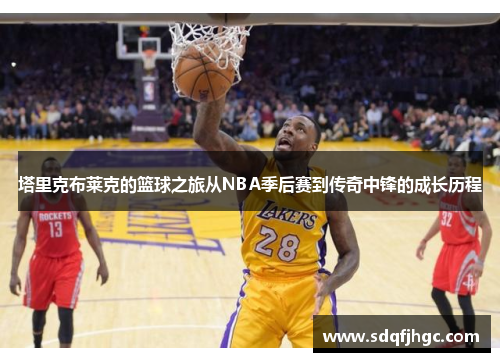 塔里克布莱克的篮球之旅从NBA季后赛到传奇中锋的成长历程