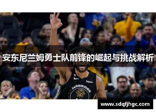 安东尼兰姆勇士队前锋的崛起与挑战解析