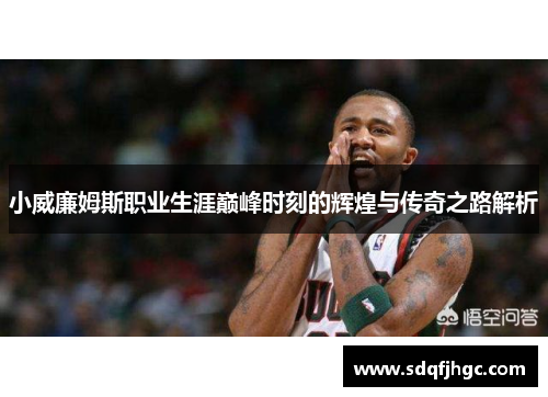 小威廉姆斯职业生涯巅峰时刻的辉煌与传奇之路解析